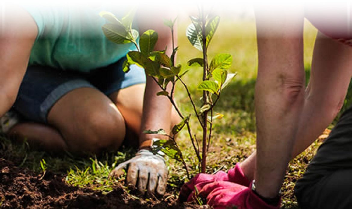 Volunteering Projects